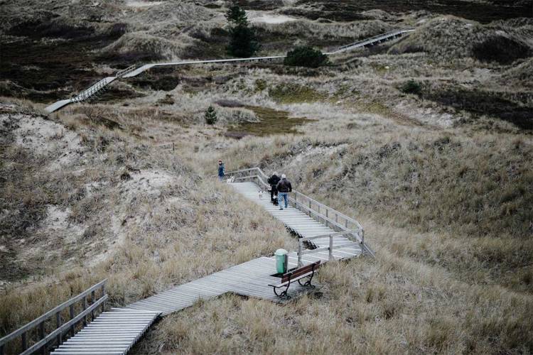 Amrums Dünenlandschaft mit ausgebauten Wegen, ideal für Spaziergänge im Urlaub mit Hund im Hotel Hüttmann.