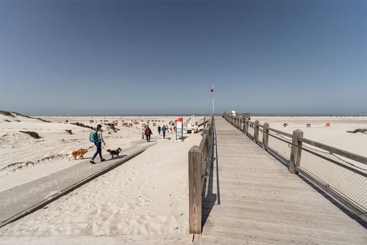 Ein breiter Hundestrand mit großer Freilaufzone bei sonnigem Wetter im Hundeurlaub im Hotel Hüttmann auf Amrum.