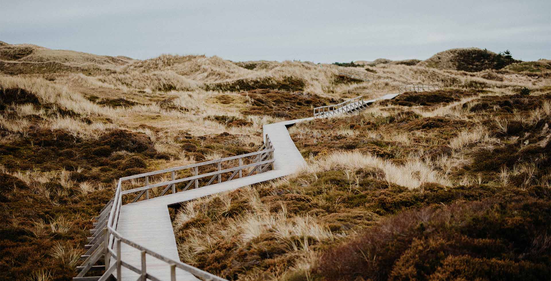 Ein geschwungener Holzsteg führt durch die Dünenlandschaft auf der Insel Amrum.